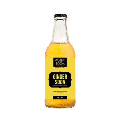 Ginger Soda 330ml
