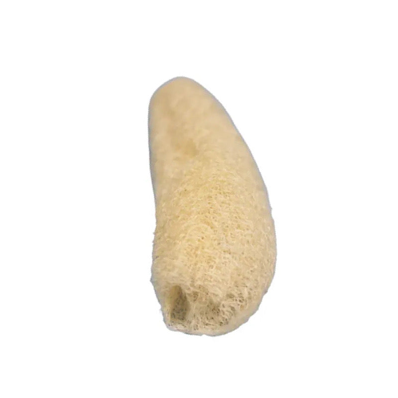Luffa (Esponja Vegetal)