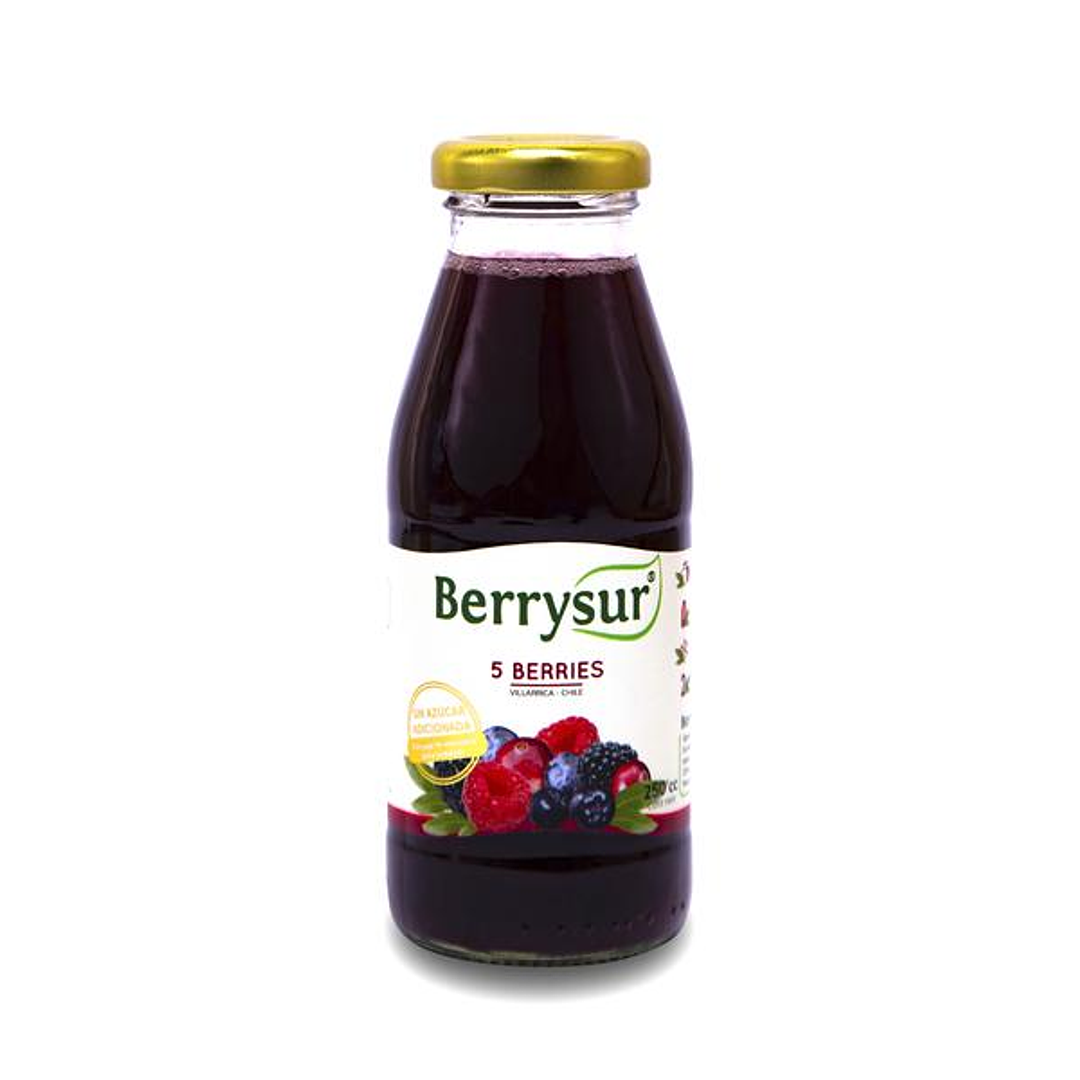 Jugo 5 Berries 250ml - Berrysur
